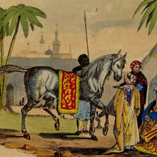 Histoire naturelle Cheval