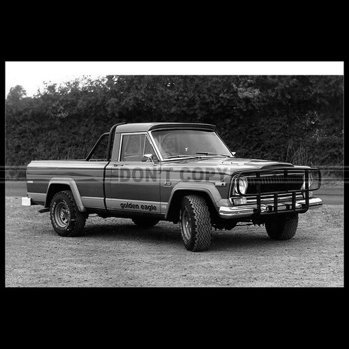 Photo 009954 jeep j10 golden - photo,