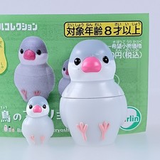 Moineau de Java argenté