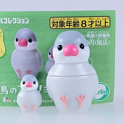 Moineau java argenté - moineau, de