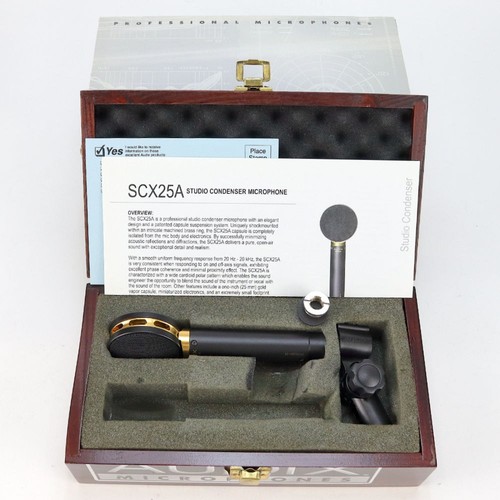 Microphone condensateur - microphone,