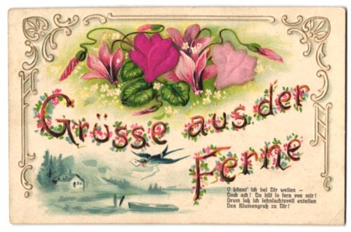 Carte postale gaufrée - , en