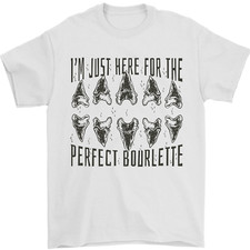 Shark Dents Fossiles Megalodon