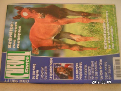 Cheval santé 7 pur - n°7,