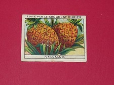 CHROMO PUPIER 1930 ALBUM