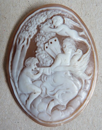 Camée sur coquille pour