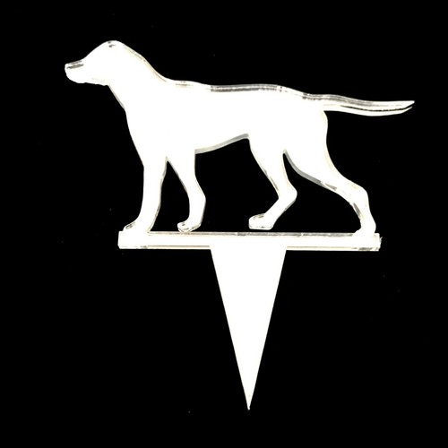 Pointer chien gâteau - gâteau, &