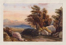 Paysage Arbres Chemin