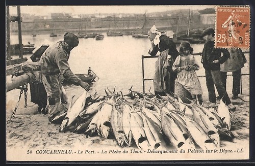 Cpa concarneau port la - cpa, le