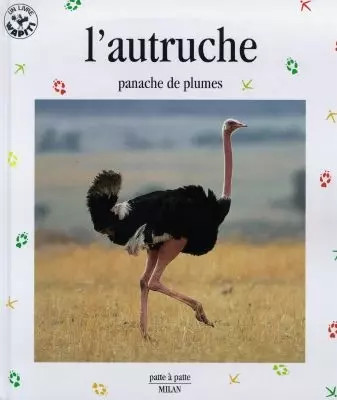 Autruche panache de - l'autruche,