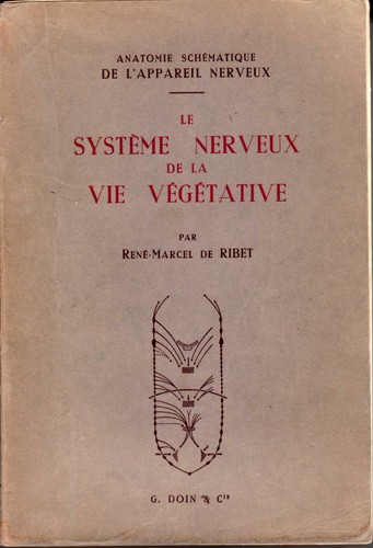 Système nerveux la vie - nerveux,