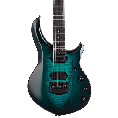Ernie ball john petrucci - ernie,