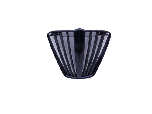 Grille radiateur eau piaggio - eau, (piaggio