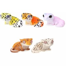 Creature Encyclopedia Soft