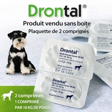Vermifuge chien vetoquinol - chien,