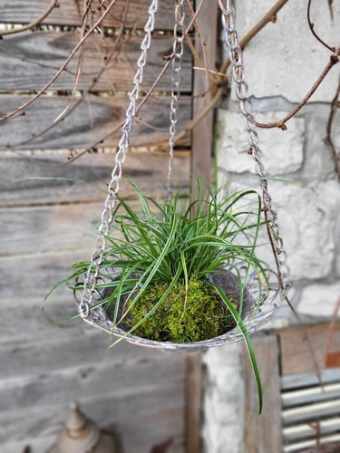 Jardinière shabby chic