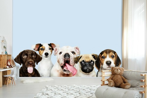 Papier peint doux chien - peint, 3d