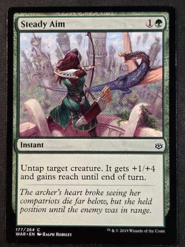 Steady aim 177 264 - aim, 177/264