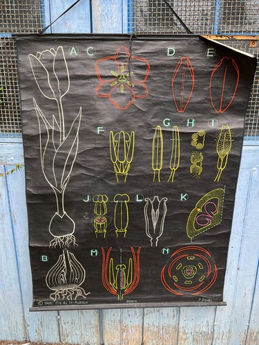 Affiche ancienne scolaire - affiche,