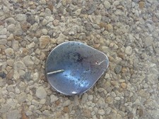 Cache bouchon de reservoir Honda CM 125 Custom JC05 1982-1999