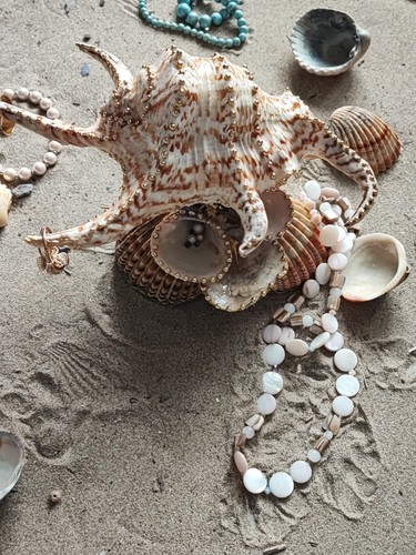 Porte bijoux coquillage - porte,