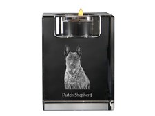 Hollandais Chien de Berger
