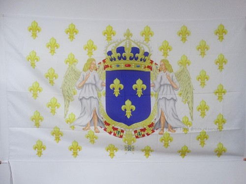 Drapeau royaume france - royaume, de