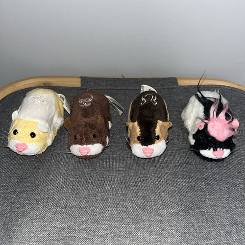 Lot zhu pets - zhu,