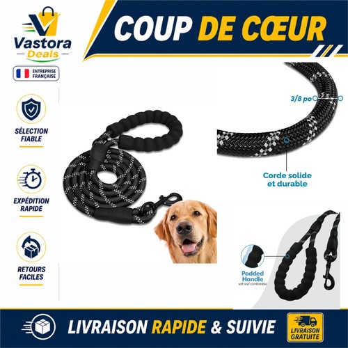 Edipets laisse chien - edipets,