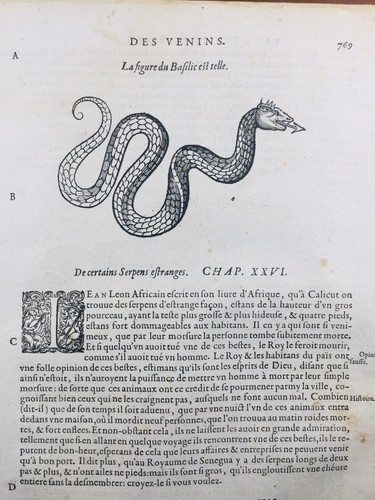 Salamandre 1614 herpétologie - 1614,