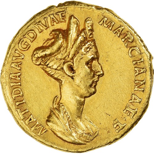 Matidia aureus 112 117 - matidia,, aureus,
