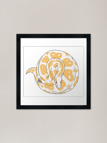 Ball python framed - ball,