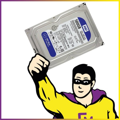 Disque dur 500go - 500go, 3.5"