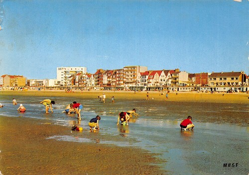 Bray dunes cueillette - dunes, des