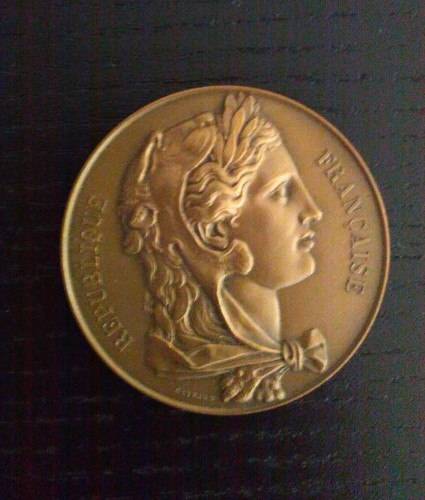 Médaille sénat bronze - sénat, en