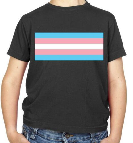 Lgbt drapeaux transsexuel - drapeaux,