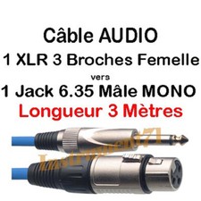 1 Câble Jack 6,35 Mâle MONO