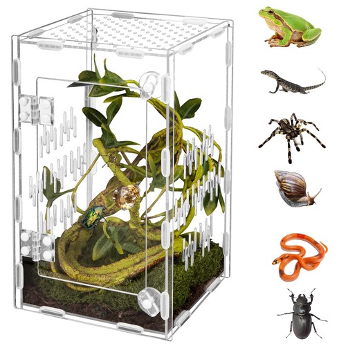 Acrylic reptile terrarium easy - reptile,