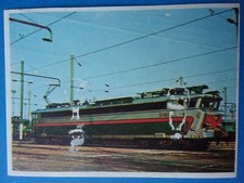 RARE IMAGE POULAIN /