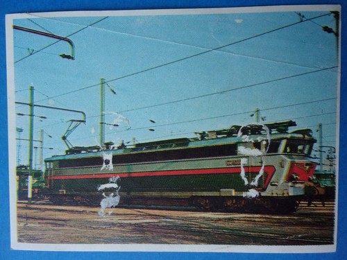 Rare image poulain - rare, /