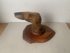 patère  patte de chevreuil