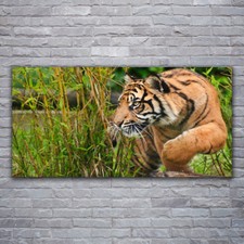 Tulup Tableau sur verre