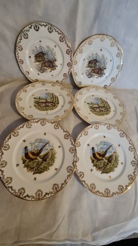 Lot assiettes plates - lot,