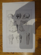 Ancienne gravure d'ARMES