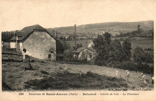 Balanod scierie bois - scierie,