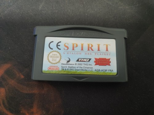Spirit étalon des plaines - spirit, :