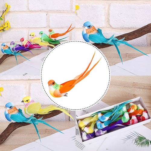 Simulation oiseaux simulation