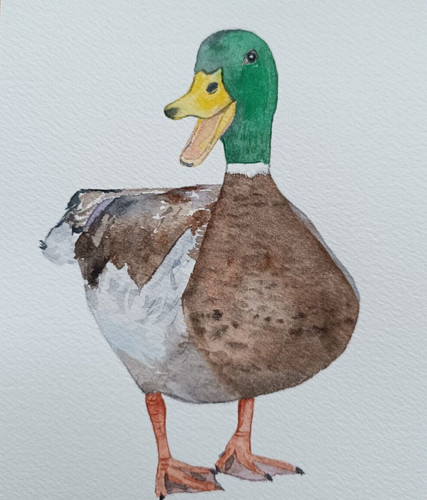 Canard aquarelle a5 - à, l'aquarelle,