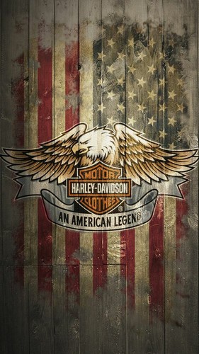 Toile tableaux harley - ,