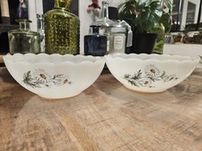 ​Lot de 2  Saladiers Arcopal